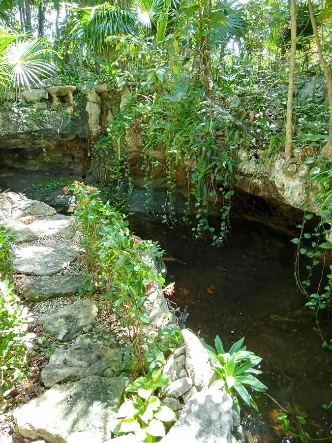 Campsite Kuha Glamping Hotel Playa del Carmen Mexico