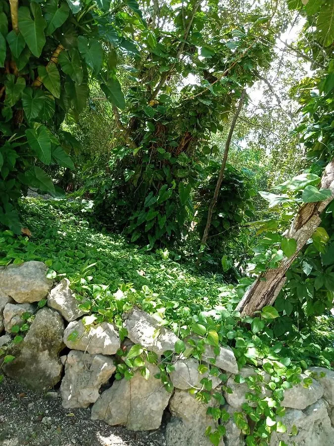Campsite Kuha Glamping Hotel Playa del Carmen