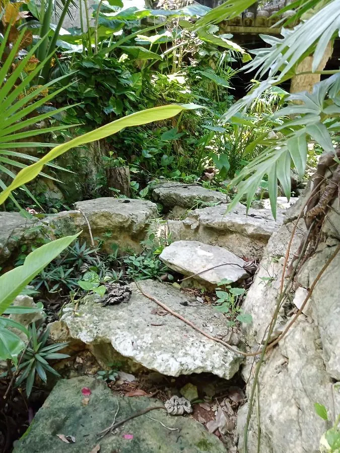 Kuha Glamping Hotel Playa del Carmen