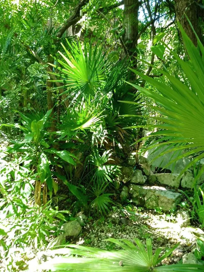 Kuha Glamping Hotel Playa del Carmen Mexico