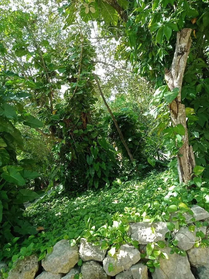 Kuha Glamping Hotel Playa del Carmen Campsite
