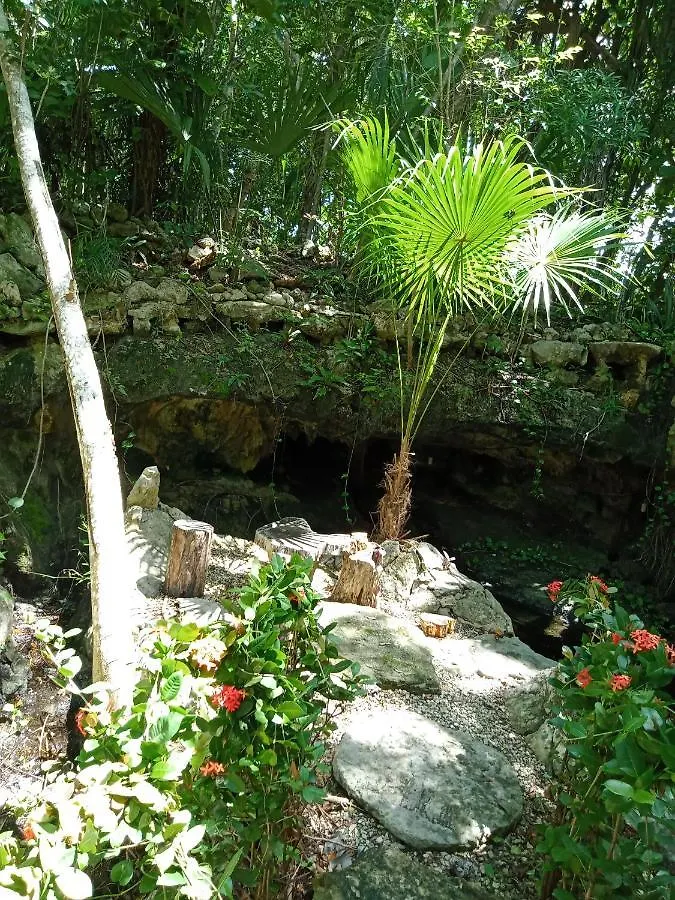 Kuha Glamping Hotel Playa del Carmen Mexico
