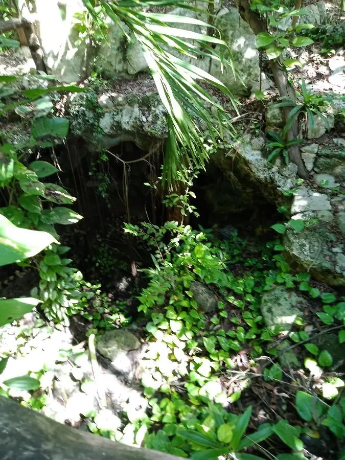 Campsite Kuha Glamping Hotel Playa del Carmen Mexico