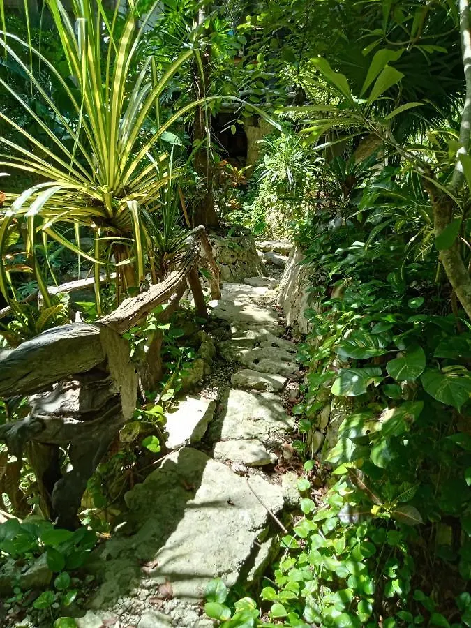 Kuha Glamping Hotel Playa del Carmen