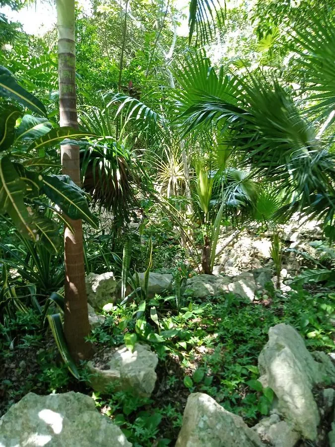 Kuha Glamping Hotel Playa del Carmen 0*,