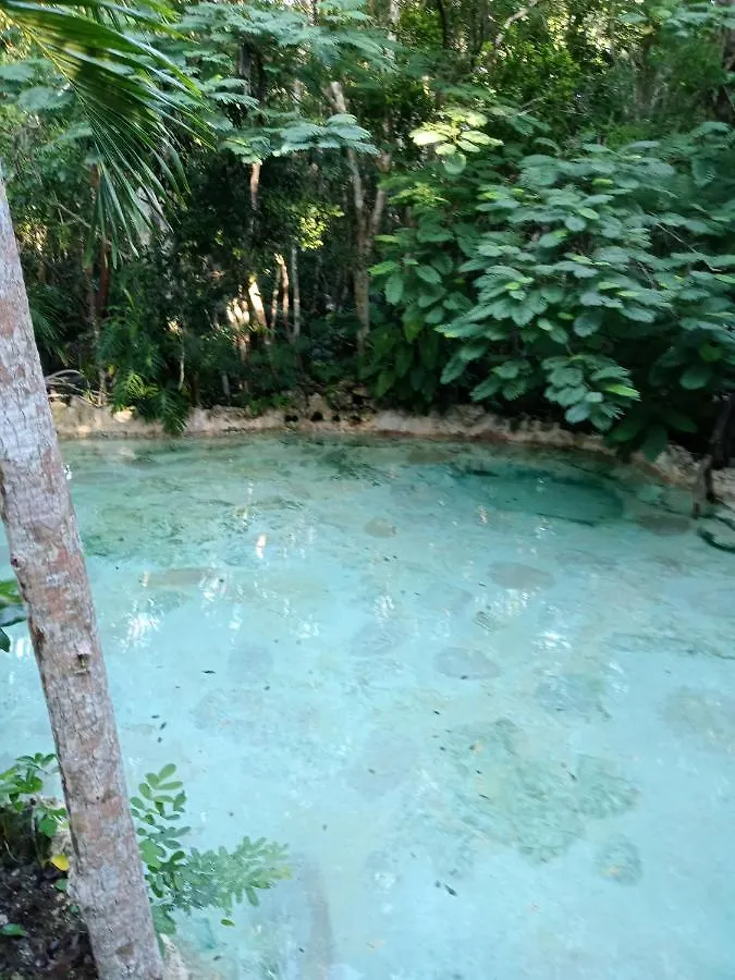 Kuha Glamping Hotel Playa del Carmen