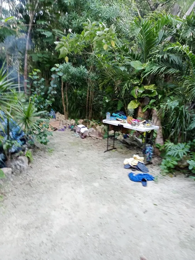Kuha Glamping Hotel Playa del Carmen Mexico