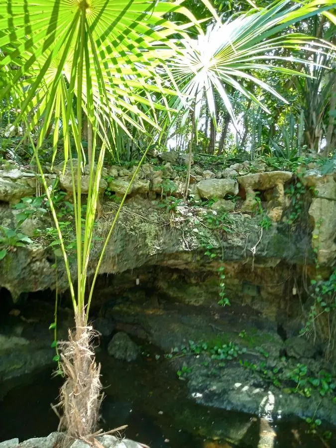 Kuha Glamping Hotell Playa del Carmen Camping